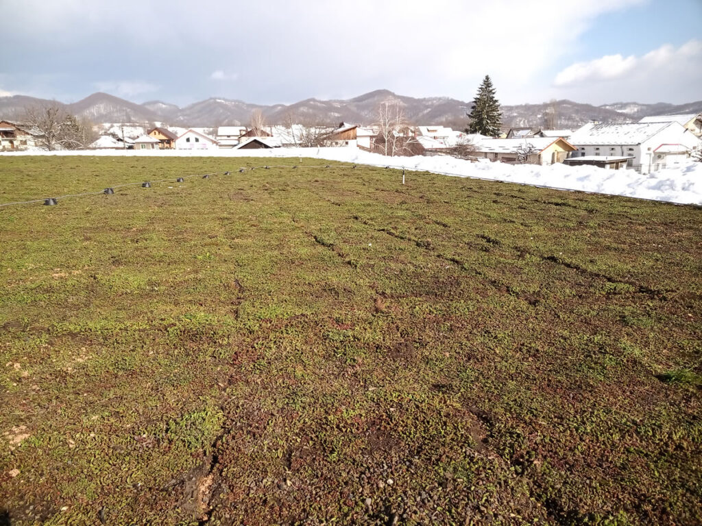 Installation and Maintenance