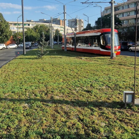 Bekämpfung extrem heißer Temperaturen durch die Schaffung von Urban Nature