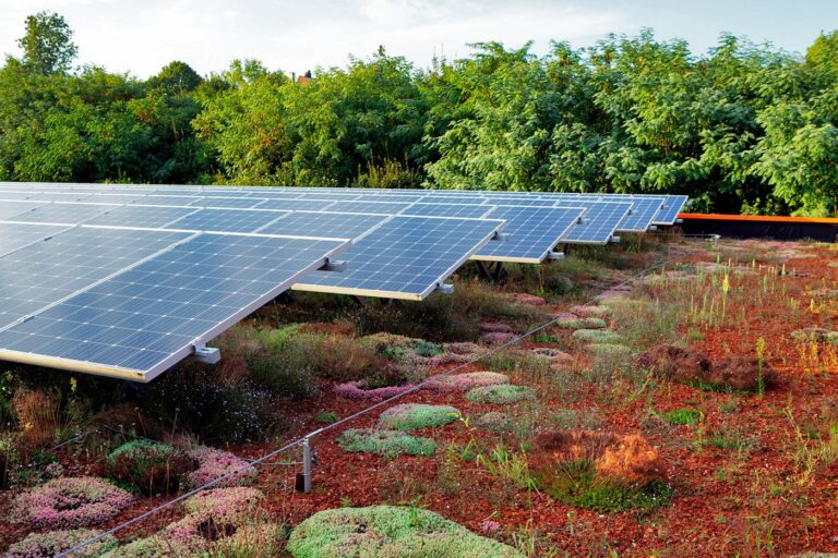 Biosolares Gründachsystem