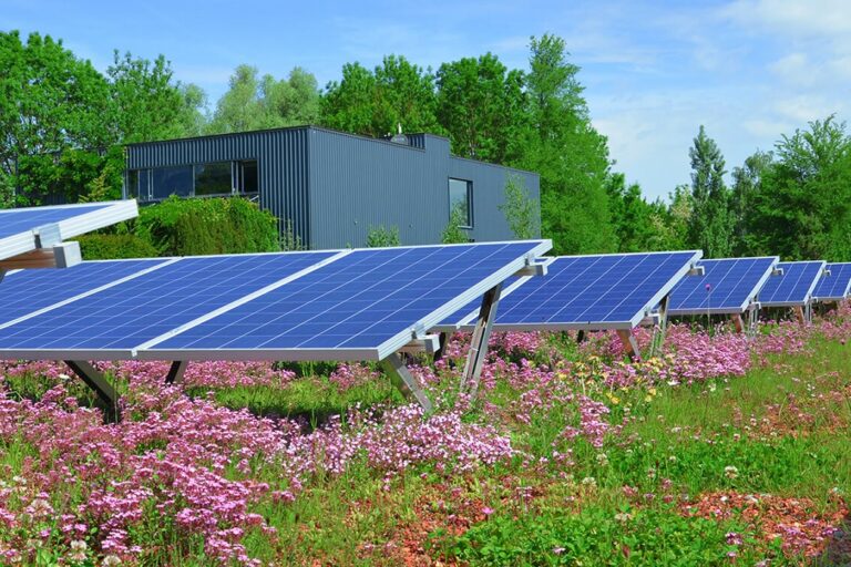 Biosolares Gründachsystem