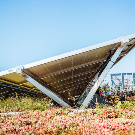 Biosolare Dachbegrünung zur Bewältigung von Klima- und Biodiversitätskrisen