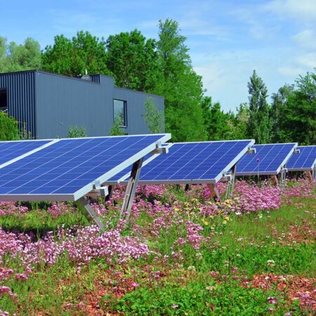 Biosolar begrünte Dächer