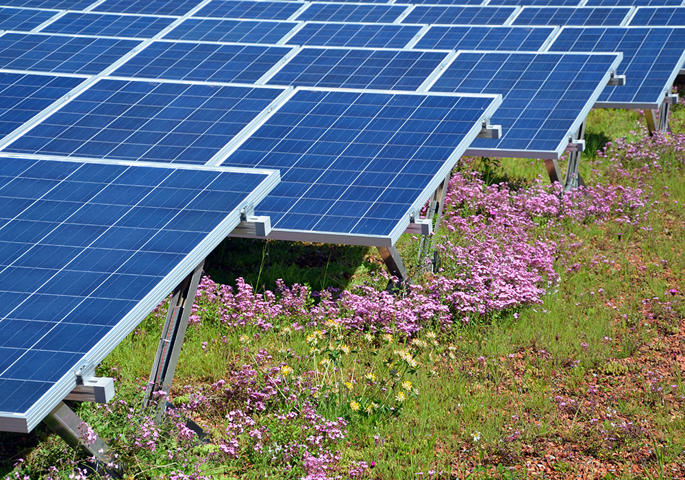 Sichere grüne Energie – mit der Biosolar-Anlage