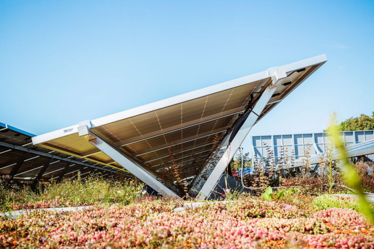 Das E-Biosolar-System
