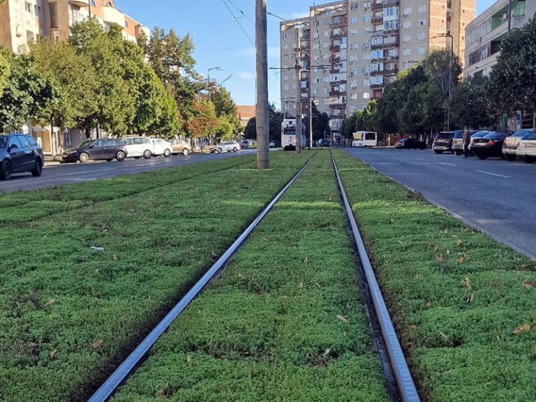 Der Trend, Straßenbahnlinien mit Sedum zu begrünen, ist eine kluge Lösung
