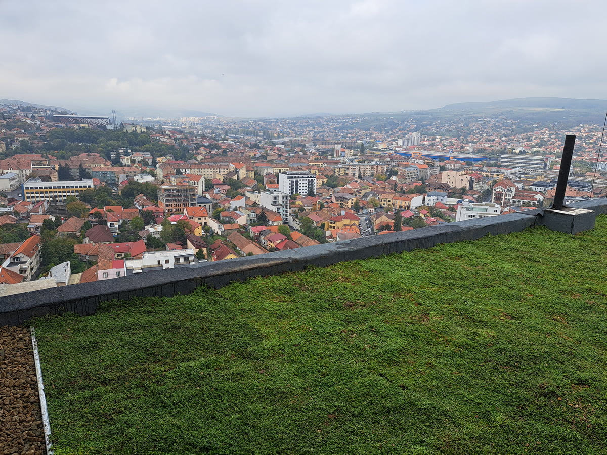 Die Rolle von grünen Dachen in Nzeb-bauwerken