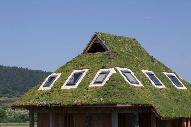 Die Rolle von Gründächern bei nZEB-Konstruktionen