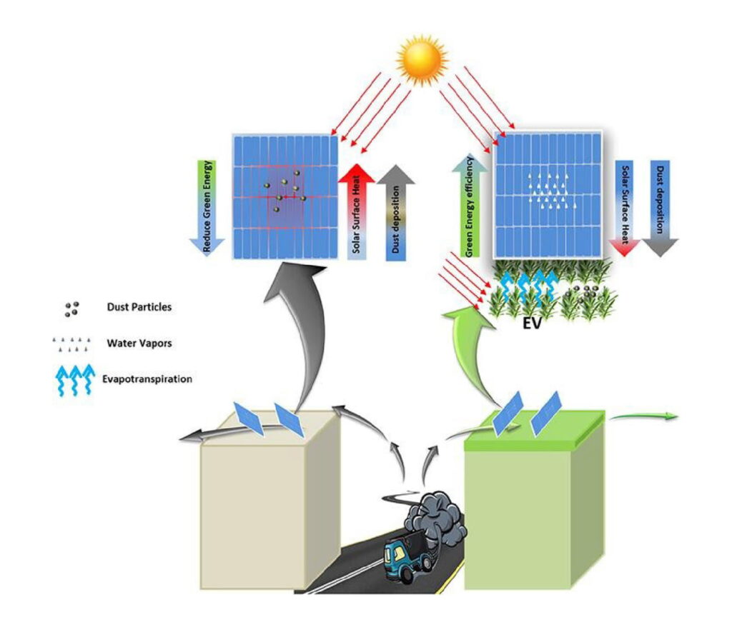Die Vorteile der Biosolaranlage gegenüber Photovoltaikanlagen auf konventionellen Dächern