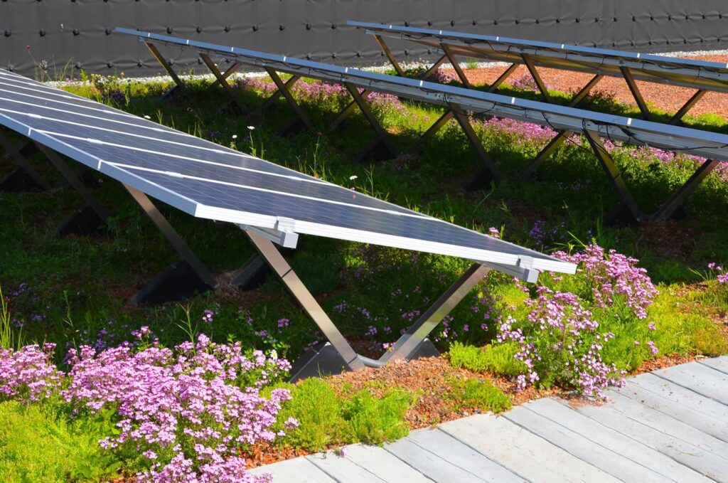 Die Vorteile der Biosolaranlage im Vergleich zu PV-Modulen auf herkömmlichen Dächern
