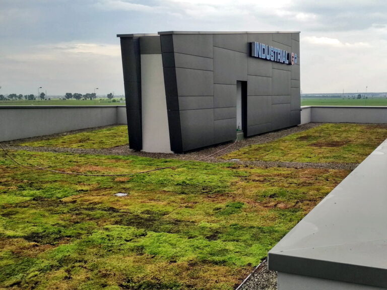 E-SEDUM LIGHT Vegetationsmatten