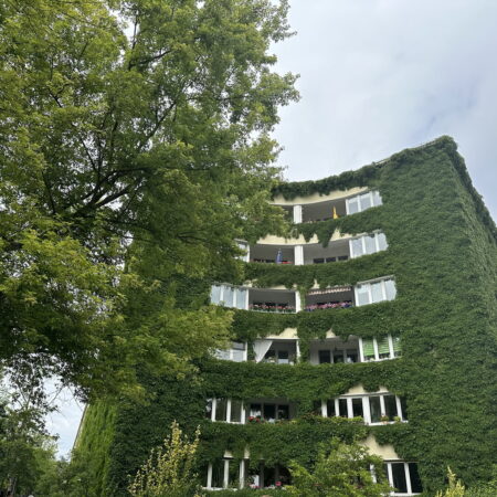 Fassaden mit autonomen Kletterpflanzen