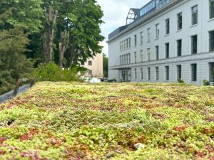 Demonstrationsworkshops für Gründächer bei den Bukarester Gartenbautagen 2025