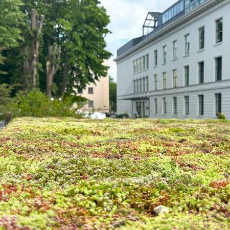 Demonstrationsworkshops für Gründächer bei den Bukarester Gartenbautagen 2025