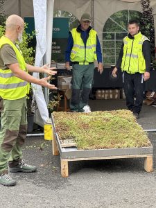 Demonstrationsworkshops für Gründächer bei den Bukarester Gartenbautagen 2025