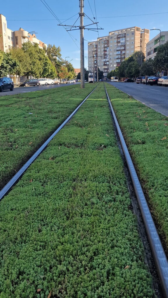 Grüne Straßenbahnlinien mit Sedumteppichen - Arad, 2023, Ecostratos