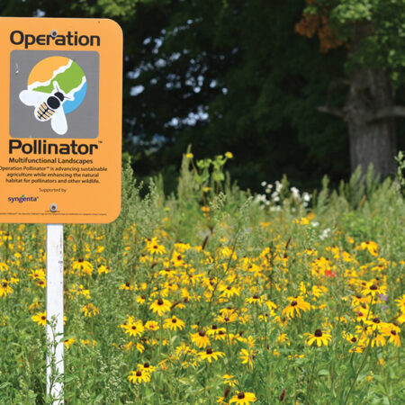 Ökologische und wirtschaftliche Vorteile von Gebieten mit großer biologischer Vielfalt