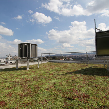 Ökosystemleistungen von Gründächern und Möglichkeiten ihrer ökonomischen Bewertung