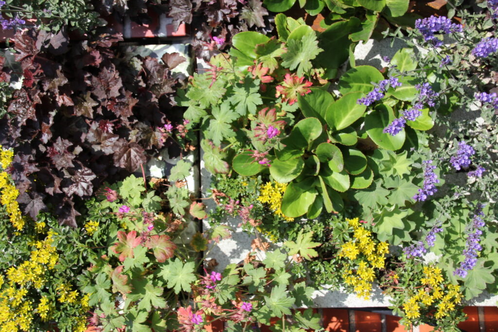 Paneelsystem für vertikale Gärten