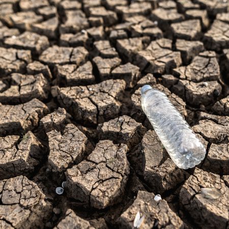 Rumäniens Wasserressourcen – Aktueller Stand der Wasserreserven und nachhaltige Zukunftsausrichtung