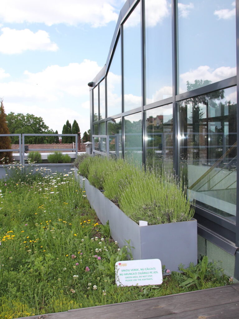 Halbintensives Gründach