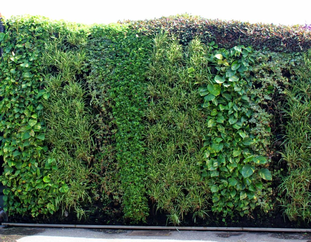 Vertikale Gebäudebegrünung