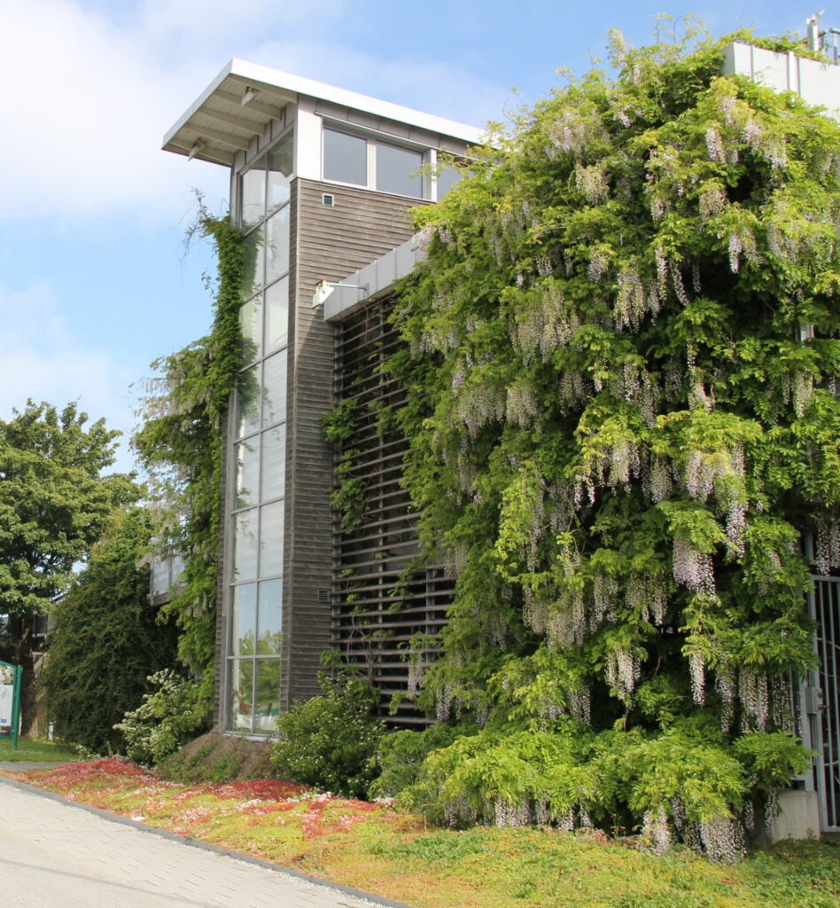 Vertikale Gebäudebegrünung
