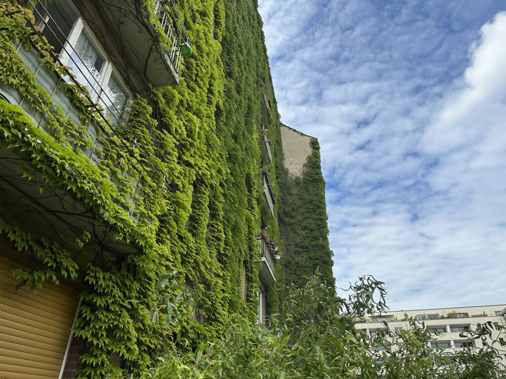 Vorteile von Wänden und begrünten Fassaden