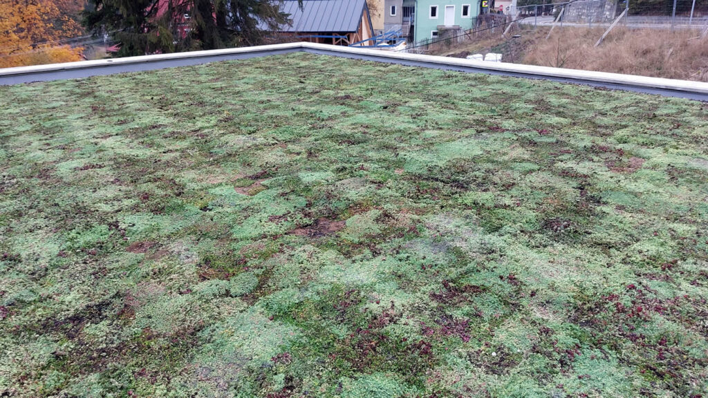 Wohngebäude Baile Tușnad